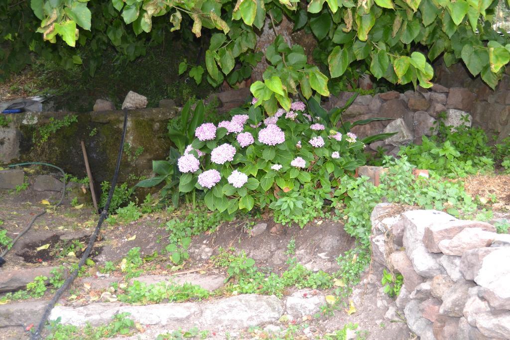 Su Cantaru Guesthouse Villanova Monteleone Exteriér fotografie